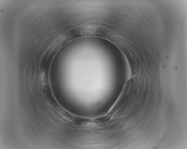 X0000073920224200608111230