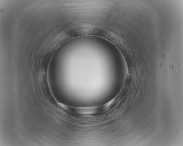 X0000073920225200608111230