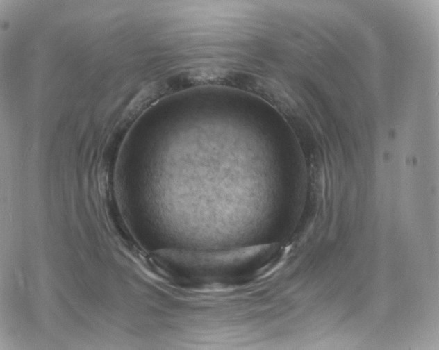 X0000073920227200608111230