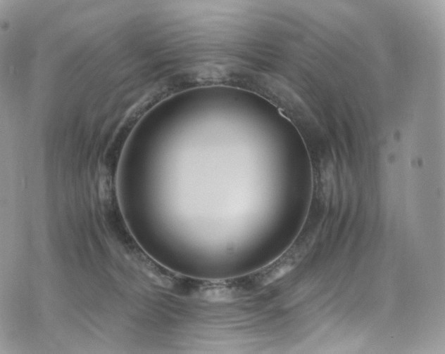 X0000073920228200608111230