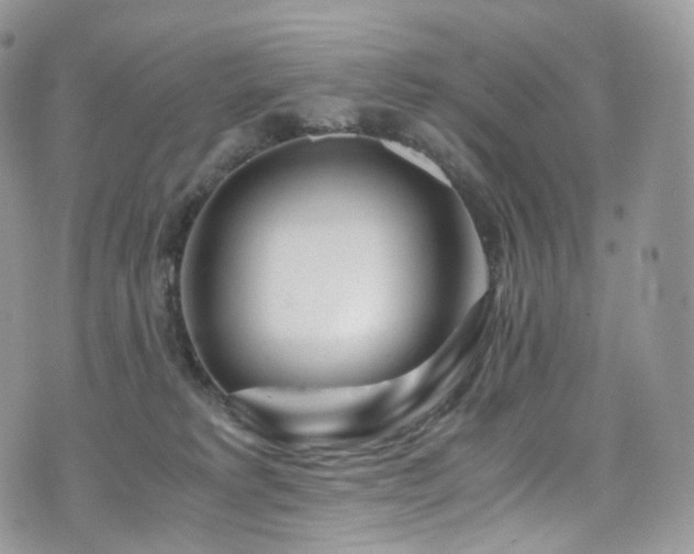 X0000073920229200608111230