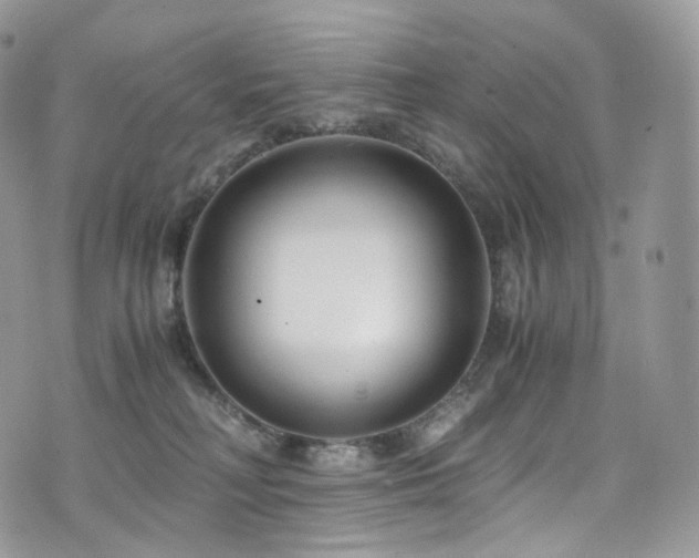 X0000073920230200608111230