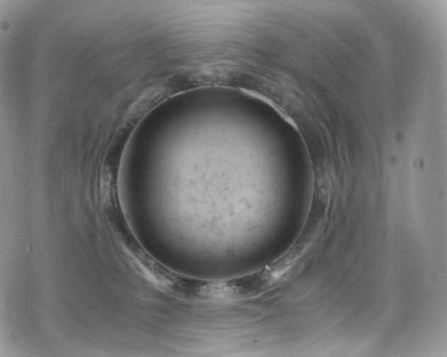 X0000073920231200608111230