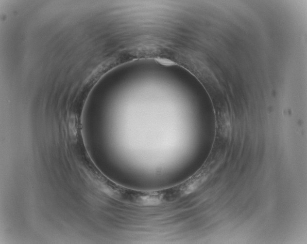 X0000073920232200608111230