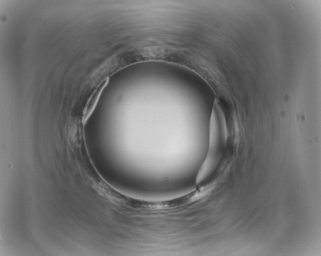 X0000073920233200608111230