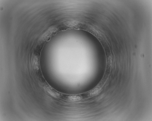 X0000073920234200608111230