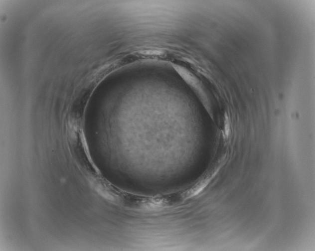 X0000073920235200608111230