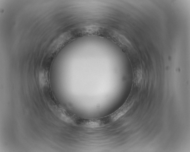 X0000073920236200608111230