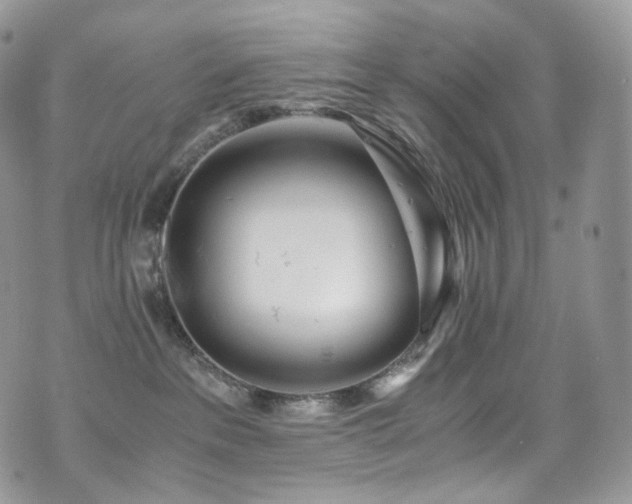 X0000073920237200608111230