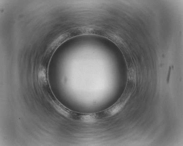 X0000073920238200608111230