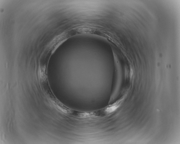 X0000073920239200608111230