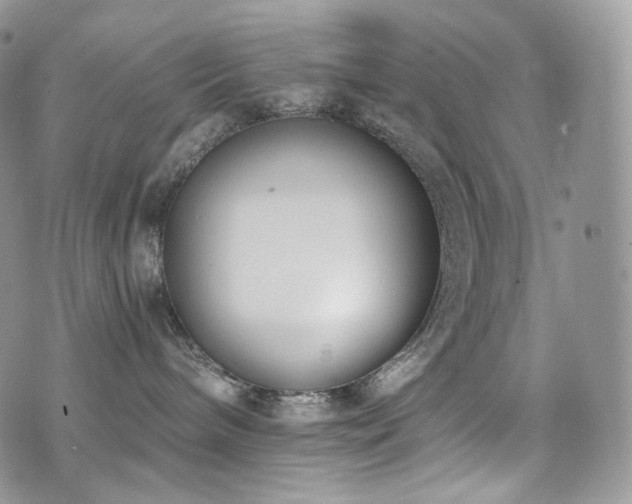 X0000073920240200608111230