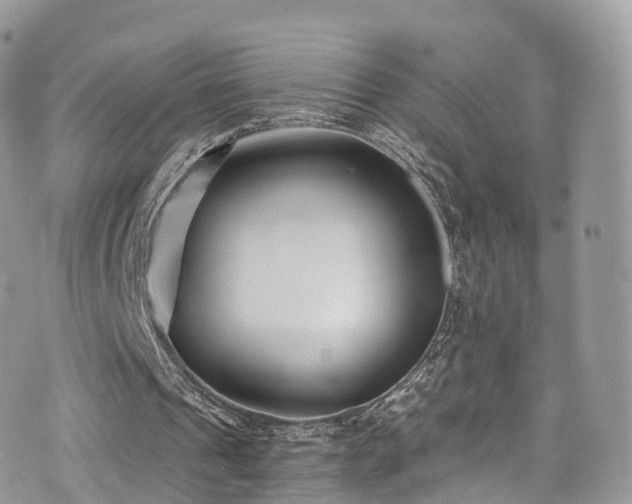 X0000073920241200608111229