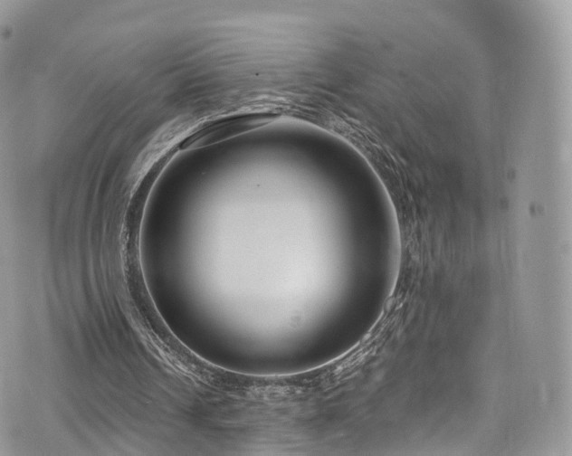 X0000073920242200608111229