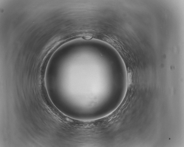 X0000073920243200608111229