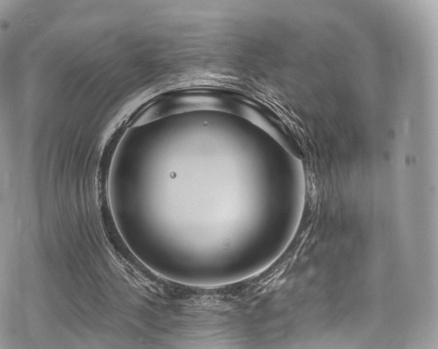 X0000073920244200608111229