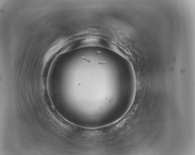 X0000073920245200608111229