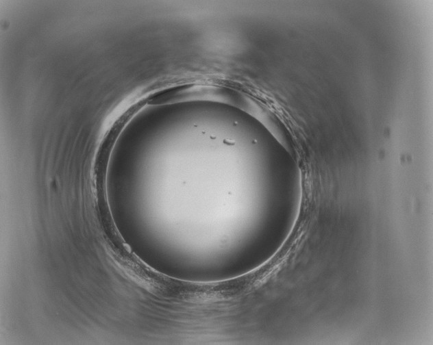 X0000073920246200608111229