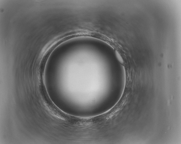 X0000073920247200608111229