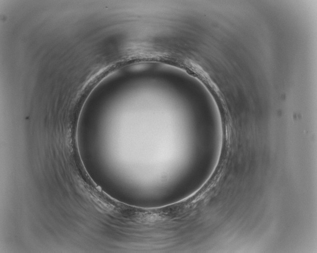 X0000073920249200608111229