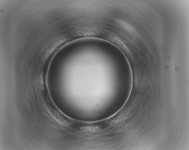 X0000073920251200608111230