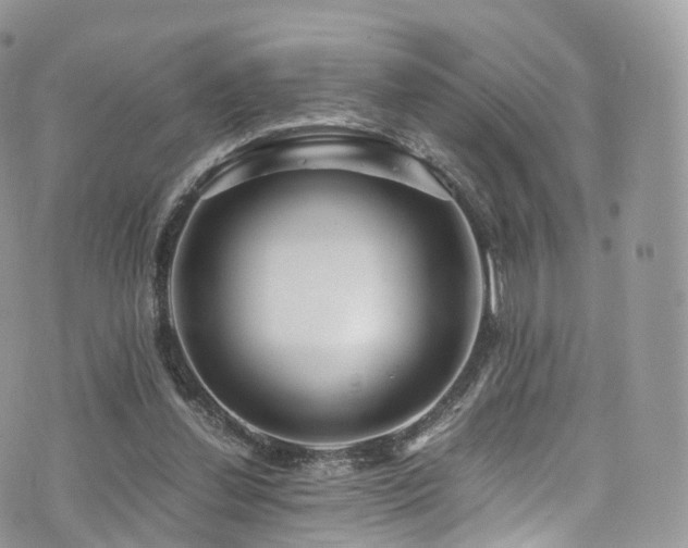 X0000073920252200608111230