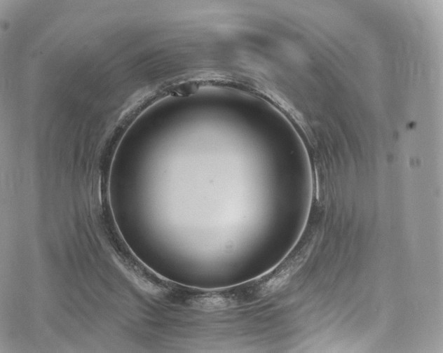 X0000073920253200608111230