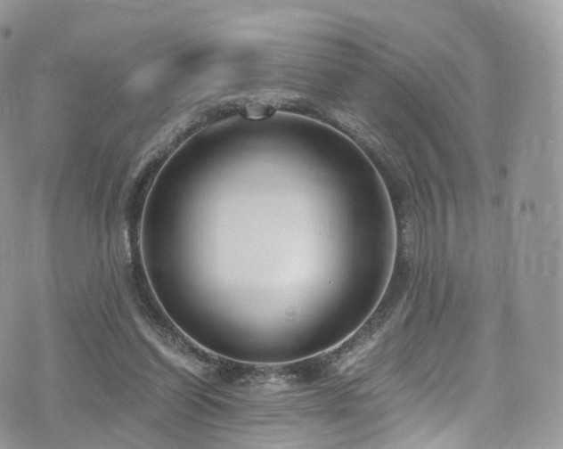 X0000073920254200608111230