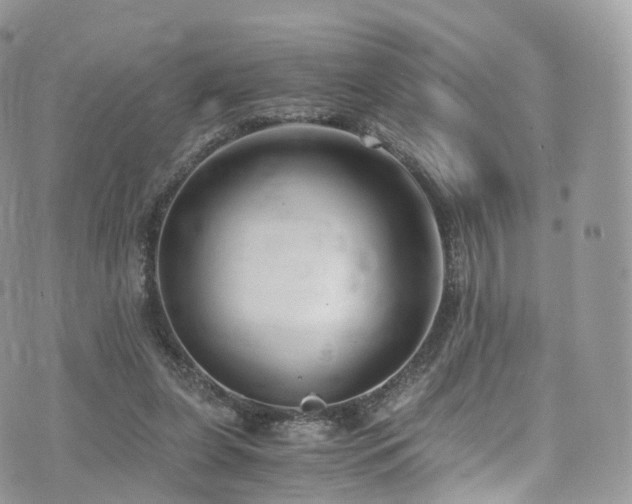 X0000073920255200608111230