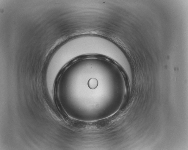 X0000073920256200608111230