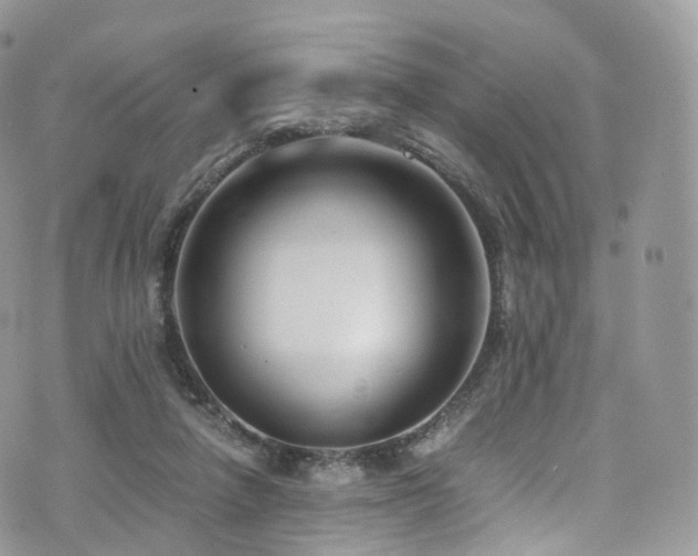 X0000073920258200608111230