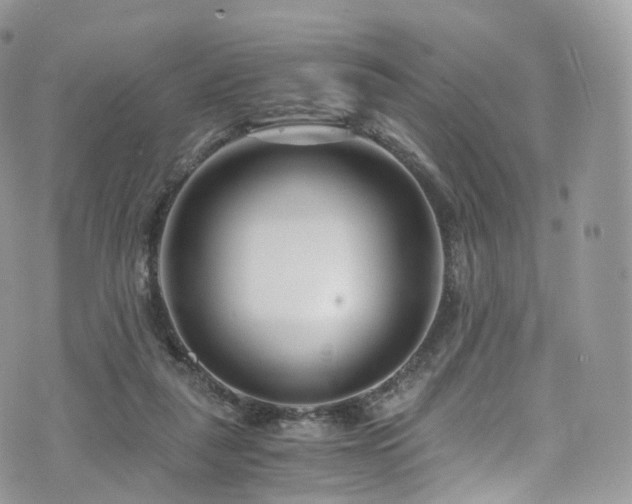 X0000073920259200608111230