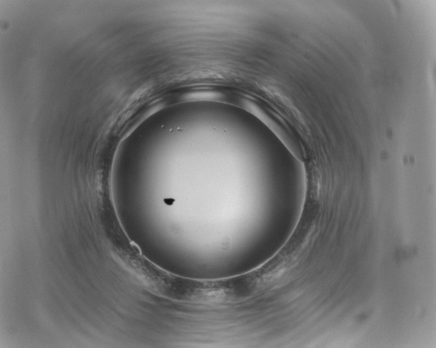 X0000073920260200608111230