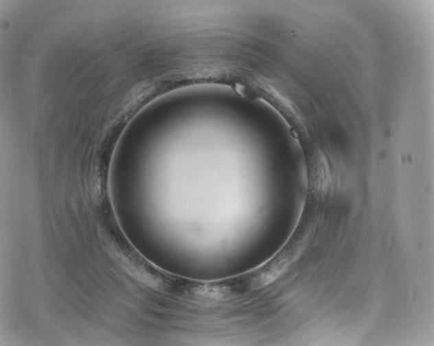 X0000073920261200608111230