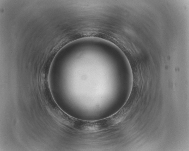 X0000073920263200608111230