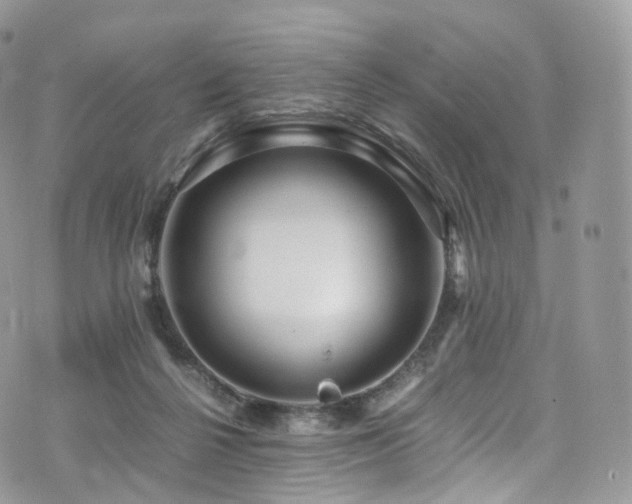 X0000073920264200608111230