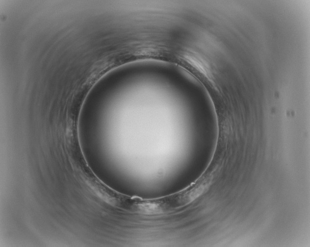 X0000073920265200608111230