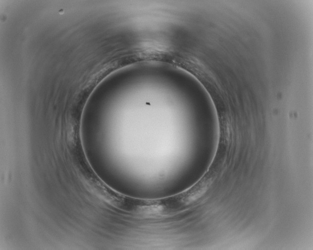 X0000073920266200608111230