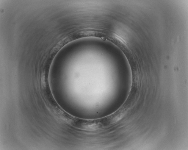 X0000073920267200608111230