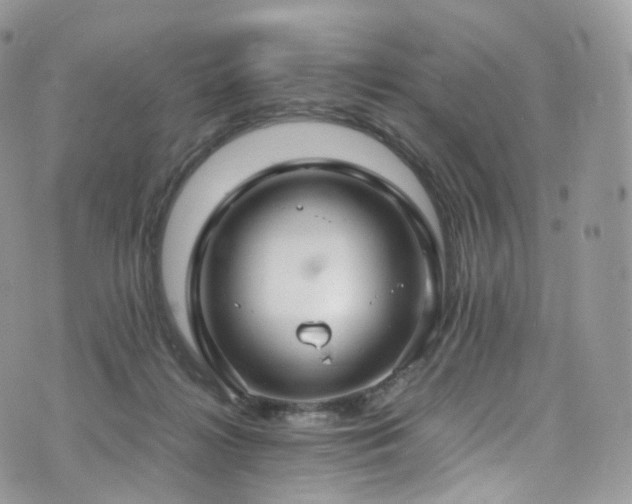 X0000073920268200608111230