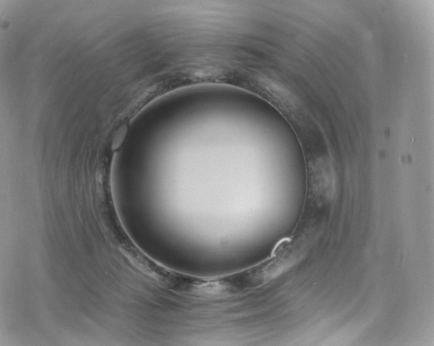 X0000073920269200608111230