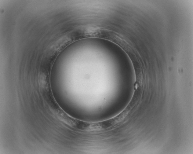 X0000073920270200608111230