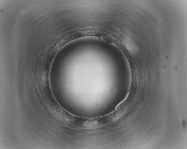 X0000073920271200608111230