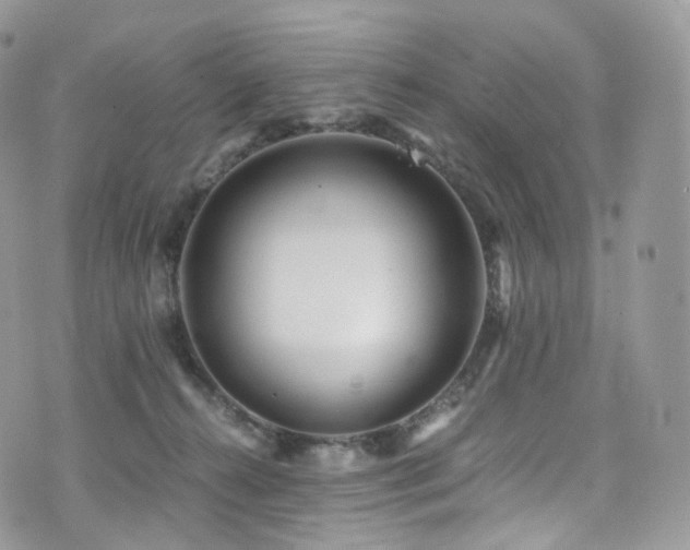 X0000073920272200608111230