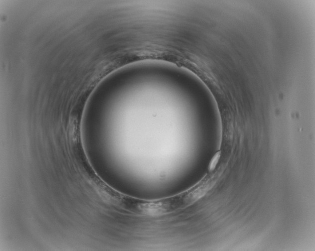 X0000073920273200608111230