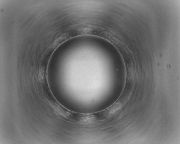 X0000073920274200608111230