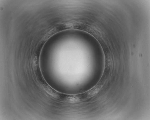 X0000073920275200608111230