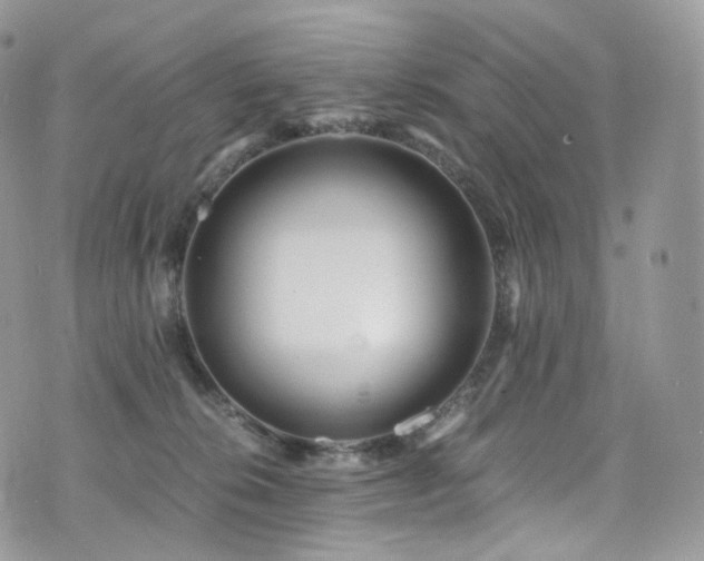 X0000073920276200608111230