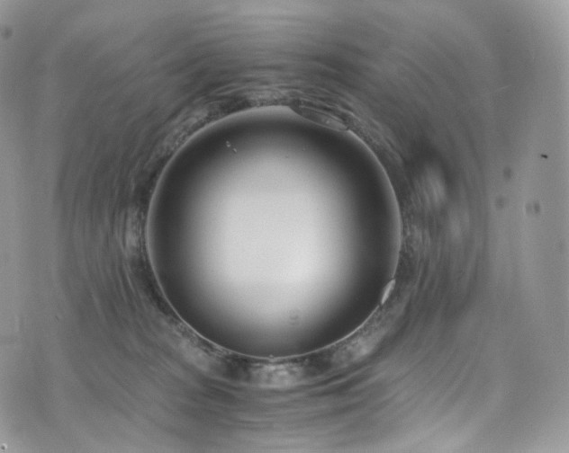 X0000073920277200608111230