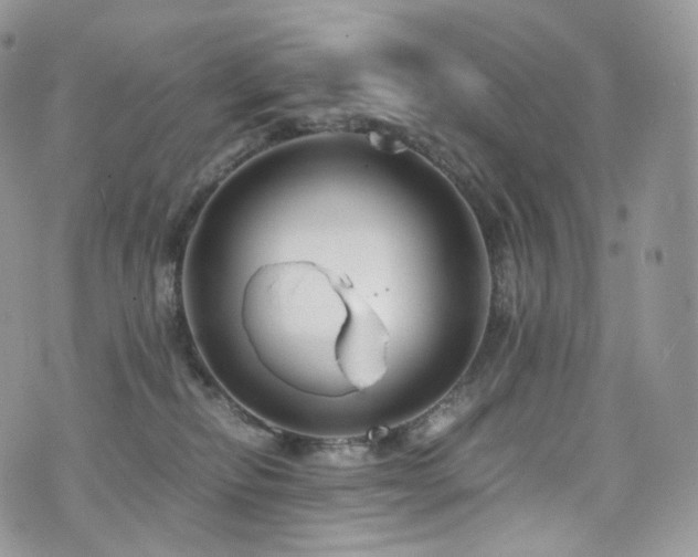 X0000073920278200608111230